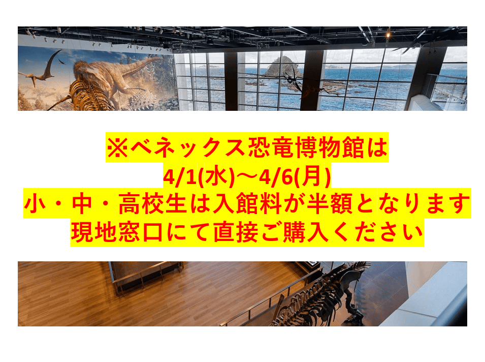 【新料金・2026年4月1日～】恐竜博物館常設展観覧券