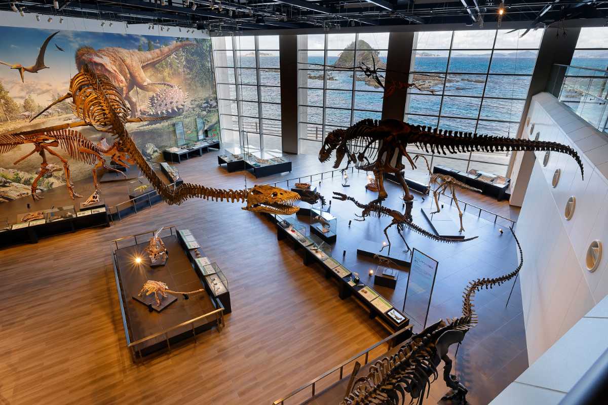 恐竜博物館常設展観覧券＋軍艦島資料館観覧券 共通券