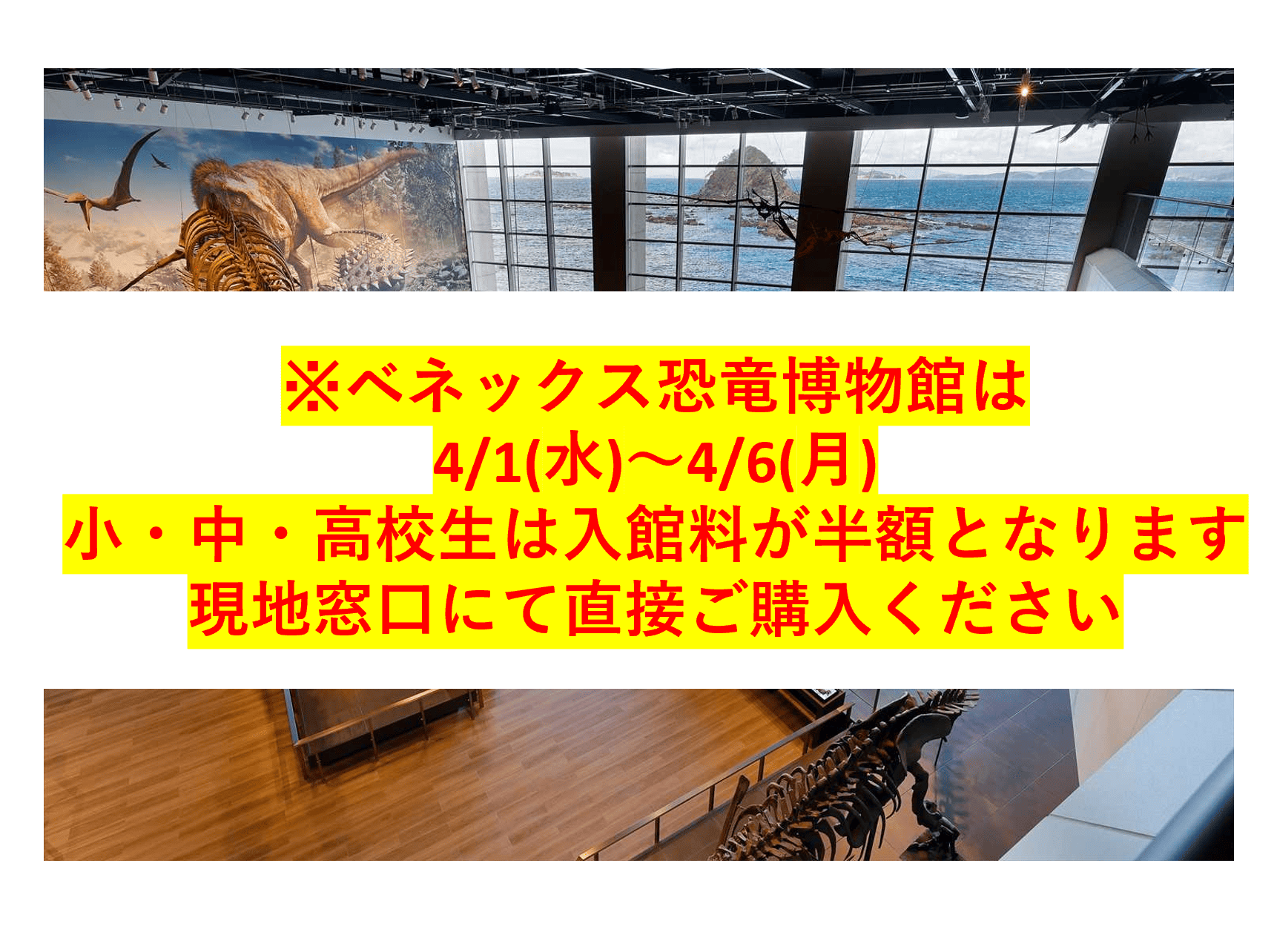 恐竜博物館常設展観覧券