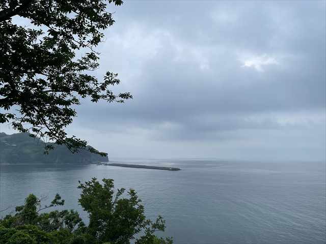 https://d3ufri3nvnsbrn.cloudfront.net/images/contents/2001/14/1?t=17782907599195