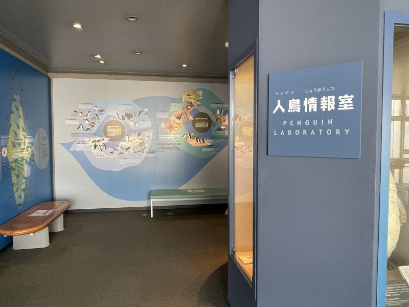 https://d3ufri3nvnsbrn.cloudfront.net/images/contents/2019/1106/1?t=17555581547599