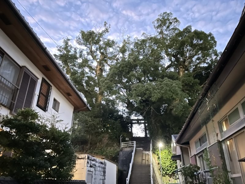 https://d3ufri3nvnsbrn.cloudfront.net/images/contents/2060/333/1?t=17777066642744