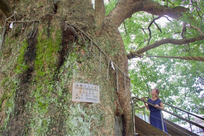 『平和の勉強は生命の勉強』被爆都市長崎を見つめる