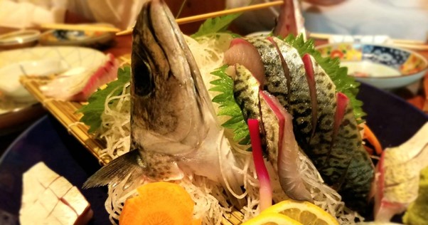 刺身で食べられる？！絶品！長崎ハーブ鯖