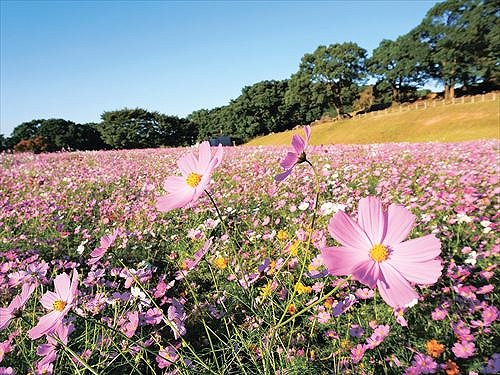 【ぷちトリップ】佐世保の絶景とおしゃれなカフェを巡る癒やしのドライブコース