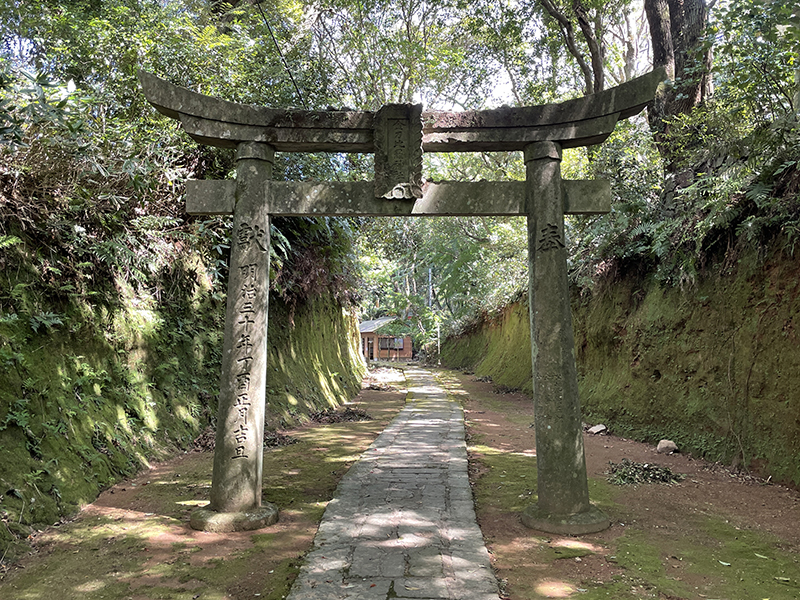 【長崎の自然を楽しむ】金比羅山でハイキング【まちを一望】