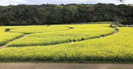 展海峰