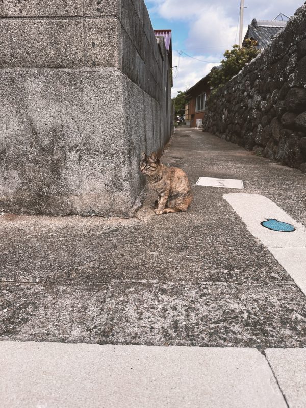 【猫だらけの島】島民よりの数より猫の数の方が多い黄島でまったり旅