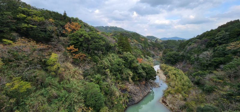 【のんびりドライブコース】五島の自然に癒やされる岐宿・三井楽の旅