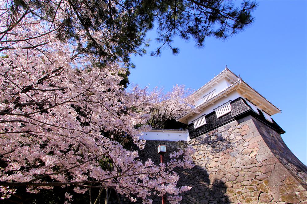 幸運を誘う神社と大村藩の史跡をめぐる、大村公園＜開運＞コース