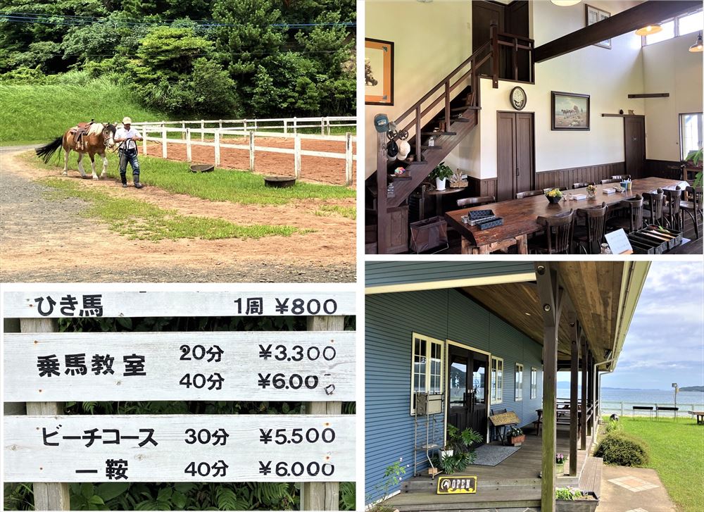 シービューランチ（うみかぜホースパーク）