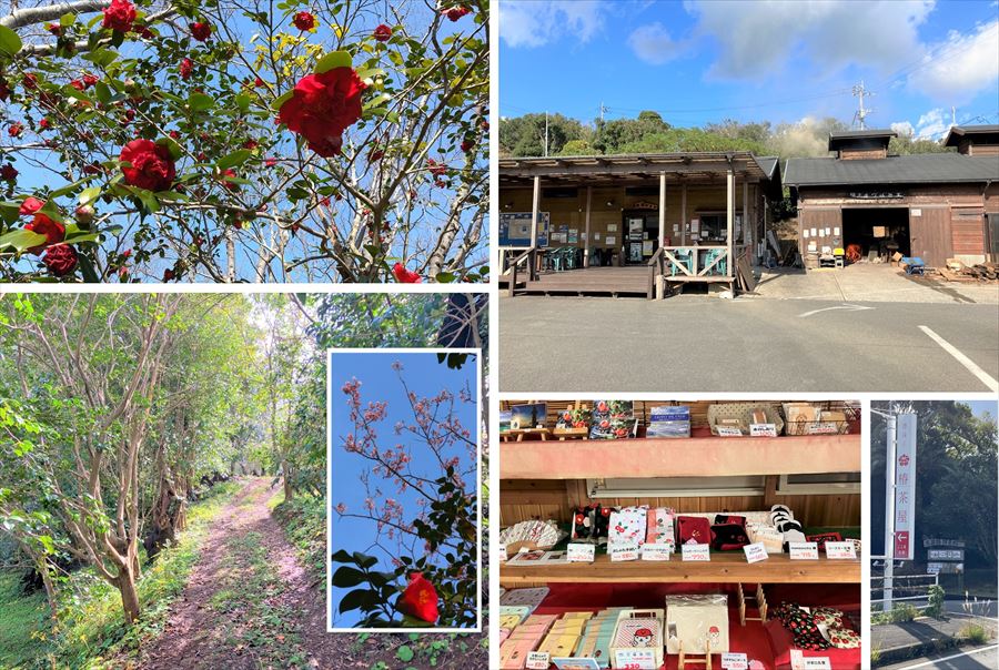 香珠子 五島椿物産館