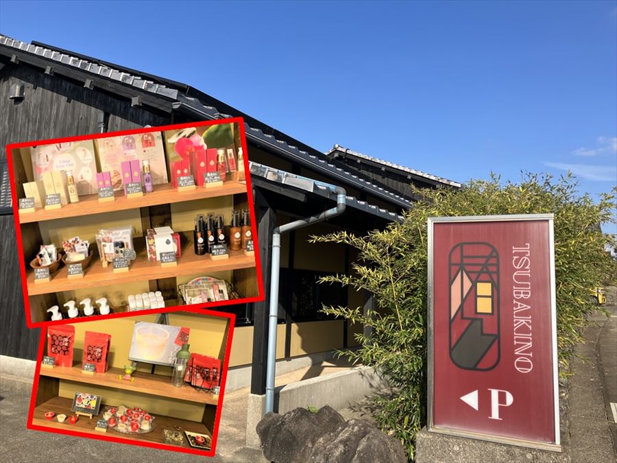 椿乃（ツバキノ）