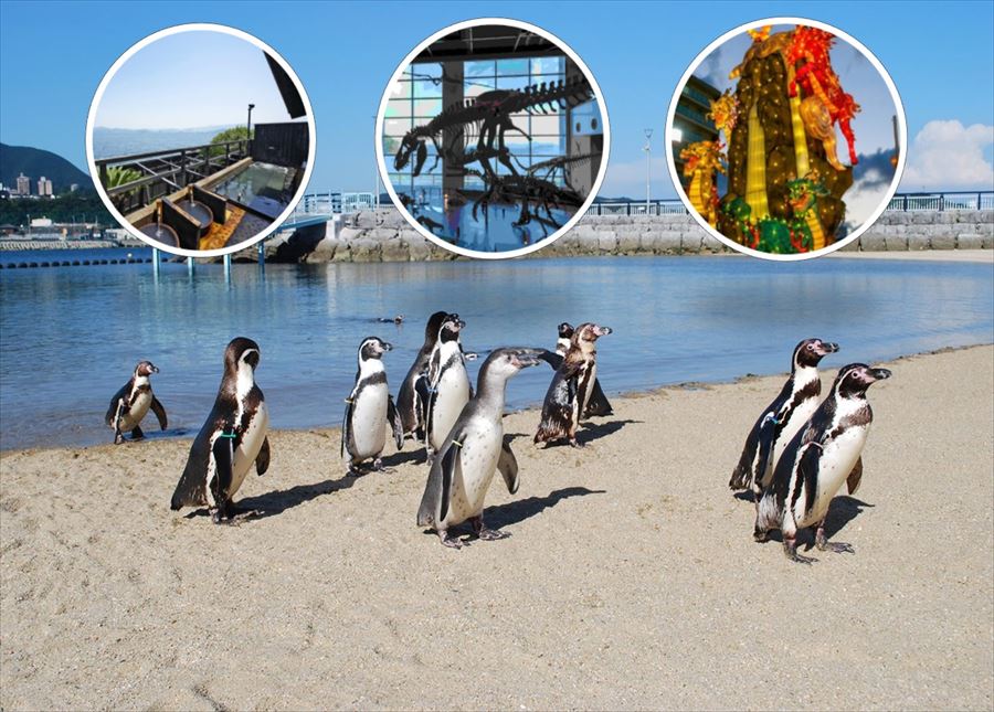 「ランタンまつり」＆「テーマパーク」長崎の南海岸を走り抜ける、わくわくドライブコース