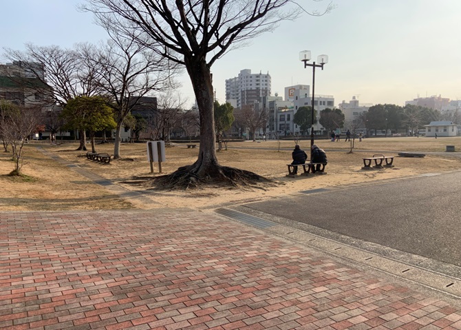 新公園