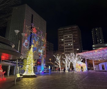 島瀬公園「キラキラフェスティバル（期間限定）」