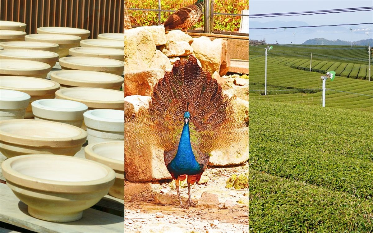 波佐見、東彼杵、川棚町 のおすすめ観光スポット10選