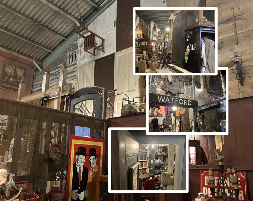 GONUTS（ゴーナッツ）