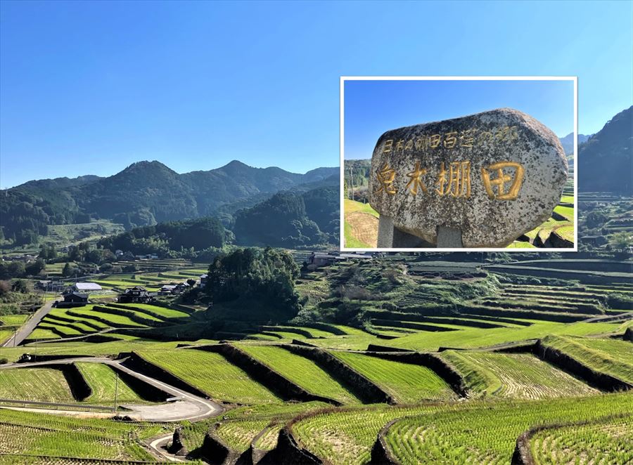 鬼木の棚田 展望所