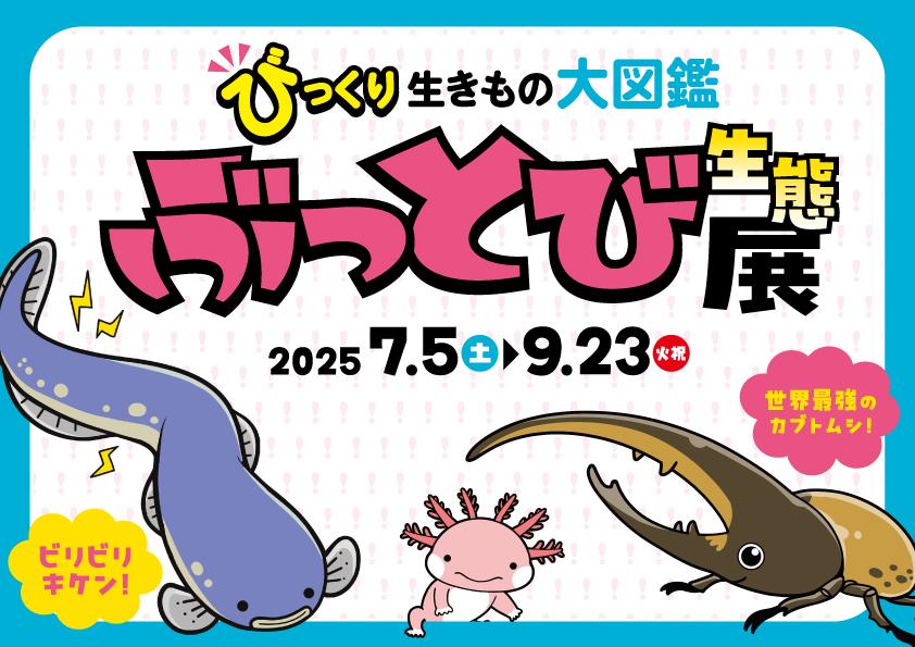 【佐世保市】海きららびっくり生きもの大図鑑「ぶっとび生態展」！～