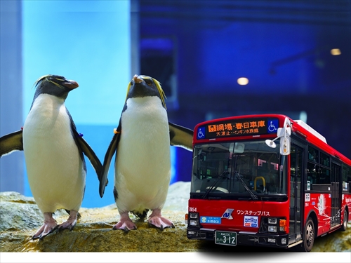 長崎県営バス往復乗車券　長崎ペンギン水族館観覧券　セットチケット（25年9月～）