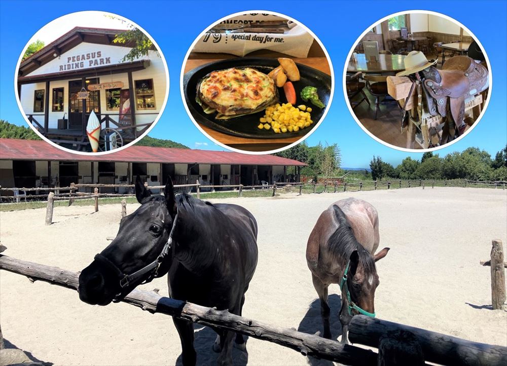 ペガサス・ライディングパーク（食事＆乗馬）