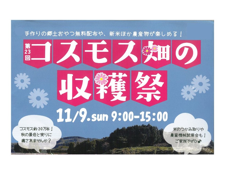 【松浦市】第23回 コスモス畑の収穫祭