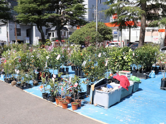 【佐世保市】佐世保 春の植木市