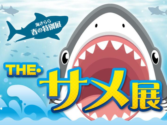 【佐世保市】＜九十九島水族館海きらら春の特別展＞THE・サメ展