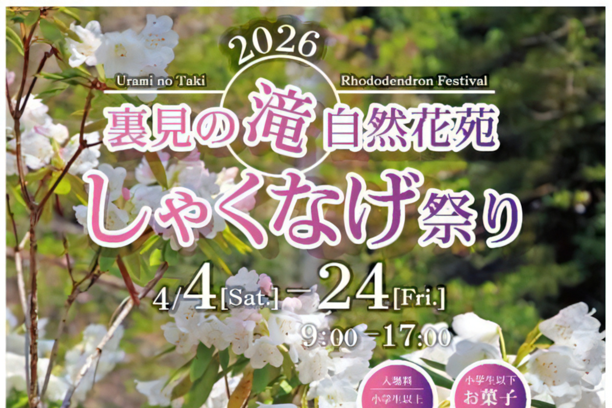 【大村市】裏見の滝自然花苑しゃくなげ祭り