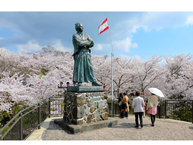 【長崎市】風頭公園桜まつり